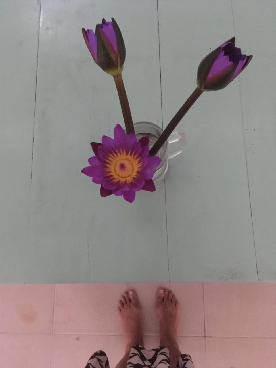韦利格默 Layback Boutique Surf & Yoga Camp Sri Lanka旅舍 外观 照片