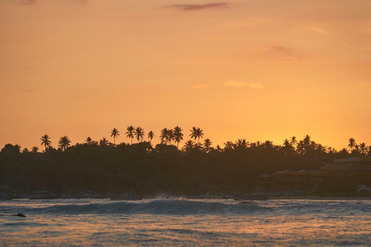 韦利格默 Layback Boutique Surf & Yoga Camp Sri Lanka旅舍 外观 照片